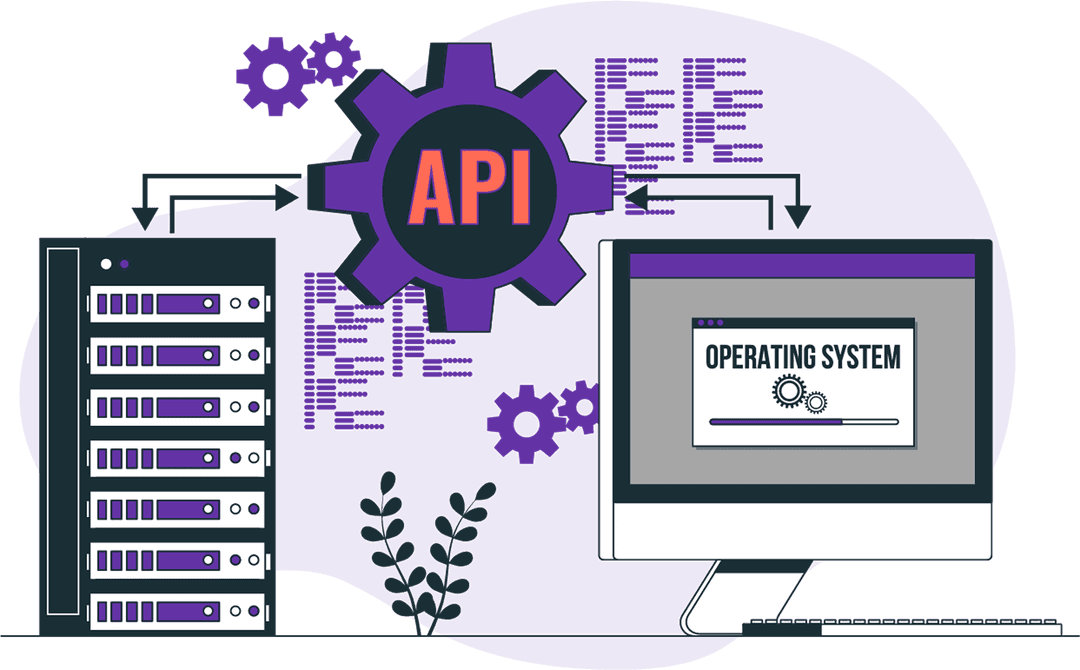 API Integration